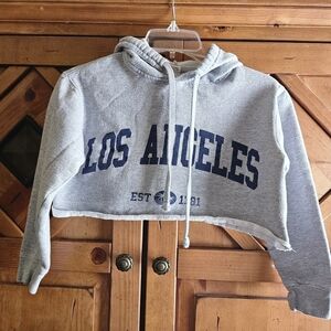 Los Angeles Smart Blanks Cropped Hoodie Sweatshirt Gray Size XS